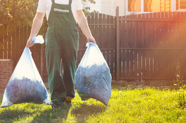 Best Construction Debris Removal  in Lewiston, UT